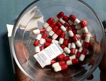 0332f979-96cb-4a44-8f01-b98dd0509d3c